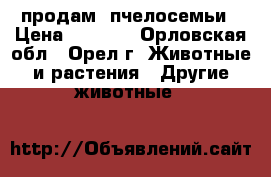 продам  пчелосемьи › Цена ­ 3 500 - Орловская обл., Орел г. Животные и растения » Другие животные   